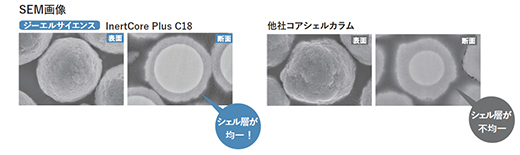 SEM画像